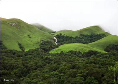 La chaîne des Ghats occidentaux, dans l'Himalaya, en Inde, est classée au patrimoine mondial de l'Unesco. Vrai ou faux ?
