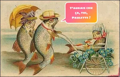 ________________ ronds _______________.