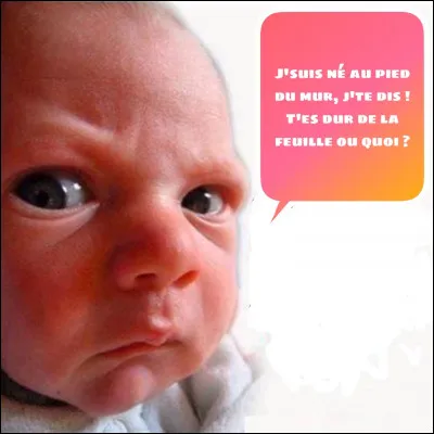 _______________ pied _______________.