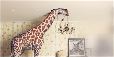 Aller ______________________.