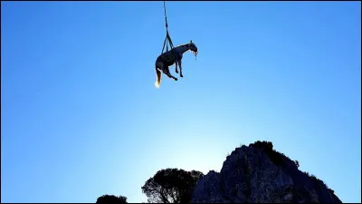 Comment dit-on "cheval" en anglais ?