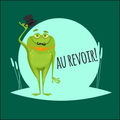 Le lendemain arrive et nous devons rentrer chez nous. En arrivant à la réception, le réceptionniste nous dit au revoir.
Au fait, comment dit-on au revoir en anglais ?