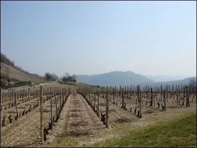 Quel nom est donné à la chaîne, à l'entrave d'un prisonnier ?