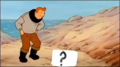 Quelque chose surgit du sol, de quoi s'agit-il  ?