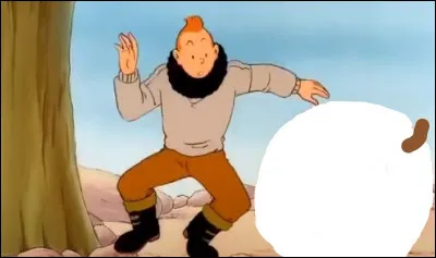 Quel fruit tombe de cet arbre  ?