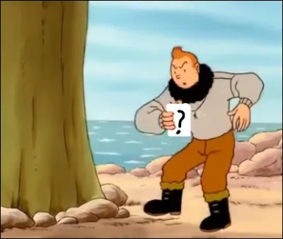 Que jette-t-il afin d'essayer de le faire fuir  ?