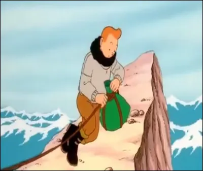 Que récupère Tintin avant de monter dans le canoë de sauvetage  ?