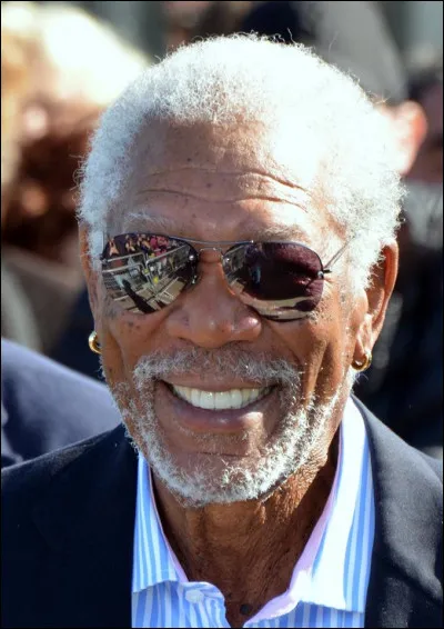Dans quel film ne voit-on pas Morgan Freeman ?