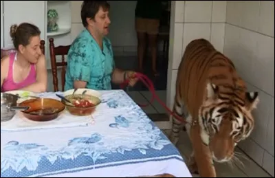 Quel est le pourcentage de foyers fran&ccedil;ais poss&eacute;dant un ou plusieurs animaux de compagnie ?