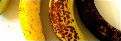 La banane contient des fibres, des oligo-&eacute;l&eacute;ments, des vitamines et du sucre. Plus la banane m&ucirc;rit, plus les enzymes la transforment. Mais de quelle mani&egrave;re ?