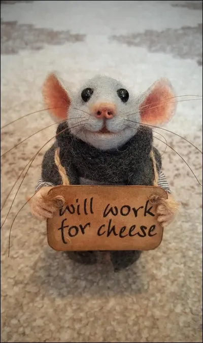 Selon l'expression, à quelle occasion vais-je avoir envie de passer dans un trou de souris ?