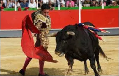 Qui interprète la chanson "La Corrida" en 1994 ?