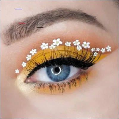 Qu'est l'il de lynx ?