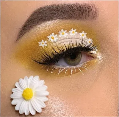 Qu'est l'il de fer ?