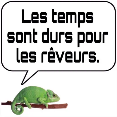 Oui, bon, les temps sont durs pour tout le monde. Nul besoin d'en rajouter ! Ceci mis à part, le sans-faute est peut-être à portée de votre index si vous cochez la bonne case. Ne tremblez pas, restez zen...