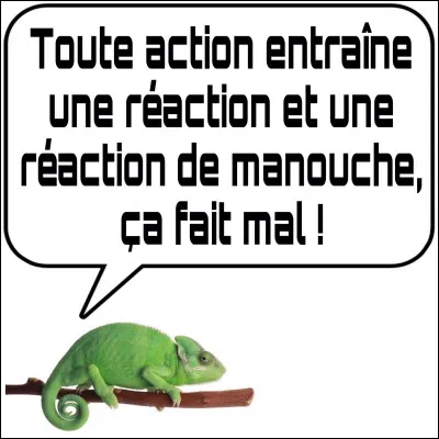 Je vois à votre mine lumineuse que cette réplique vous dit vaguement quelque chose.
Le choix est malgré tout difficile ? 
N'hésitez pas à prendre un petit café...
On n'est pas aux pièces !