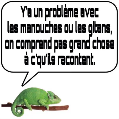 Même dilemme. Il semblerait que vous soyez un peu dans la panade. Mais tenez bon et ne faites surtout pas d'erreur.
À raison de 10 % en moins la question sur votre score final, ça commencerait à faire jaser tout Quizz.biz !