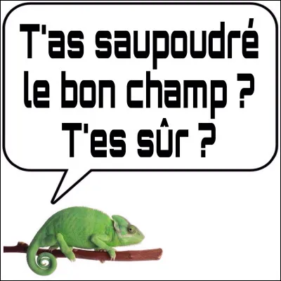 Là, vous devrez prendre soin de "saupoudrer" la bonne case.
Sinon, ça pourrait vous coûter cher en kérosène et en crédibilité !