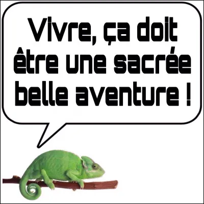 Le piège est machiavélique ou pas.
Telle est la question :