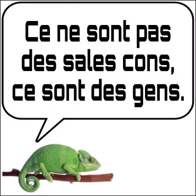 On vient tout juste de franchir le cap de l'antépénultième question.
Ouf, on se rapproche de la ligne d'arrivée !
Mais ne faites surtout pas comme les super-héros, ne mettez pas les pieds dans le plat, cochez la bonne case !