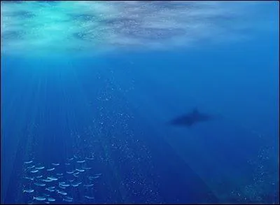 Quelle est la profondeur de la fosse des Mariannes ?