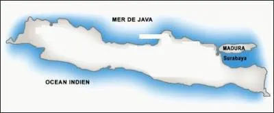 L'île de Java est une île...