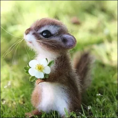 Quel animal trouves-tu le plus mignon ?