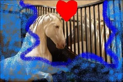 Combien de robes existe-t-il ?