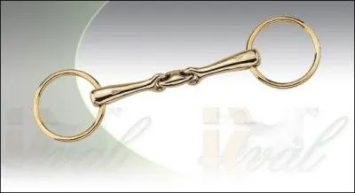 Comment s'appelle le truc en fer que l'on met dans la bouche du poney ?