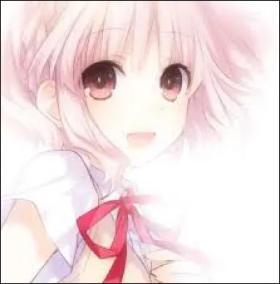 Quelle est votre qualité ?