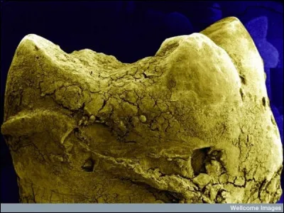 Qu'est-ce que c'est ?