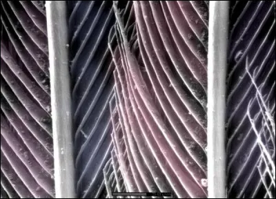 Qu'est-ce que c'est ?