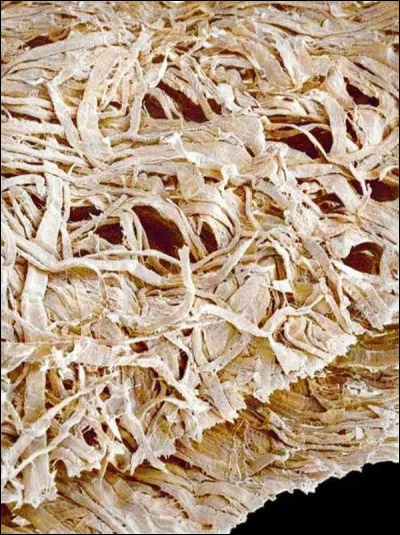 Qu'est-ce que c'est ?