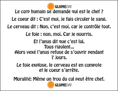 Mon cerveau, c'est mon second organe préféré !
