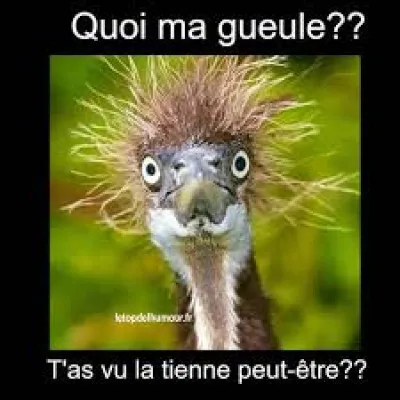 Tu te rends compte, si on n'avait pas perdu une heure et quart, on serait là depuis une heure et quart !