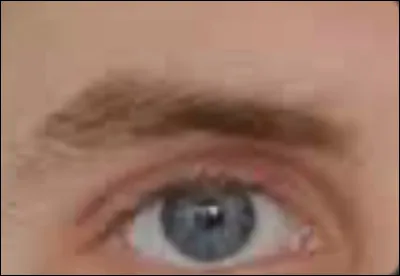 Ils se trouvent au-dessus des yeux, il se peut qu'ils ne forment plus qu'un. Quels sont-ils ?