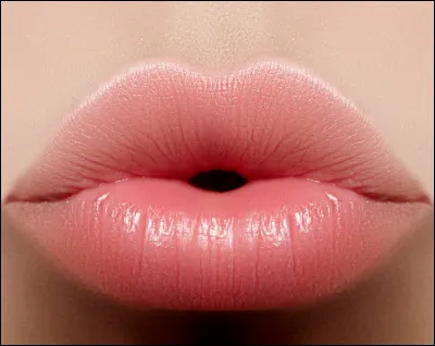 Elles s'accouplent et se décrochent aussi rapidement qu'on parle, on peut les aider à rougir. Quelles sont-elles ?