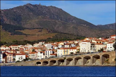 Commune du département des Pyrénées-Orientales (66) peuplée de 4800 habitants.
Station balnéaire fréquentée en toutes saisons - Ville incluse dans le canton de Collioure - La Chapelle Notre-Dame de la Salette.