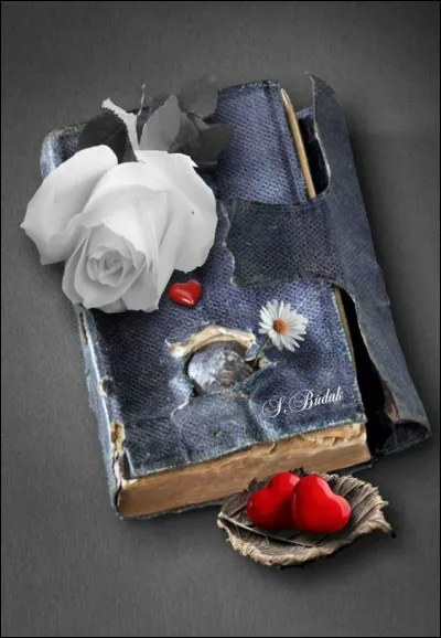 Qui a écrit "La Tête contre les murs" ?