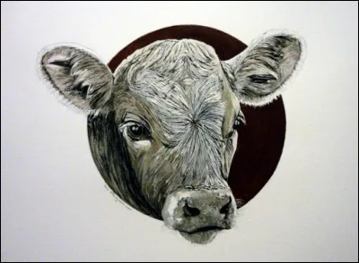 Quelle sauce est traditionnellement servie avec la tête de veau ?