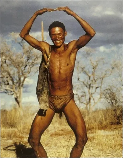 Dans le film "Les Dieux sont tombés sur la tête", quelle bouteille tombée du ciel au milieu d'une tribu, dans le désert du Bostwana, arrive pour apporter le désordre ?