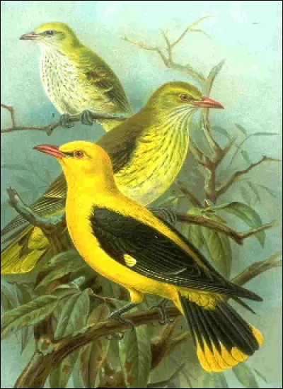 Dans quelle ville, le 8/7/1978, un incendie au musée d'Art moderne a fait disparaître 950 &oelig;uvres majeures, dont des Picasso, des Van Gogh, des Dali et des Miro ?