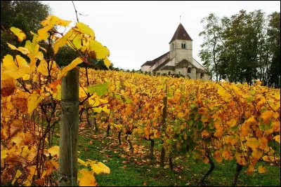 À quel poète doit-on ce vers : "Au silence éternel de la Divinité" ?