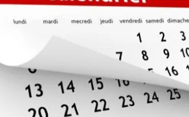 Quiz Vocabulaire
