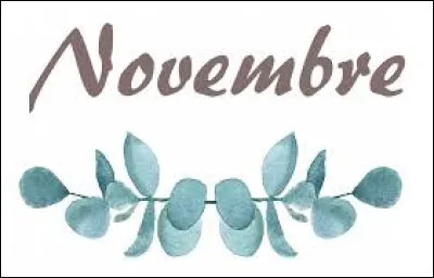 Comment se dit novembre en espagnol ?