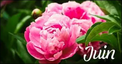 Comment se dit juin en espagnol ?