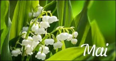 Comment se dit mai en espagnol ?