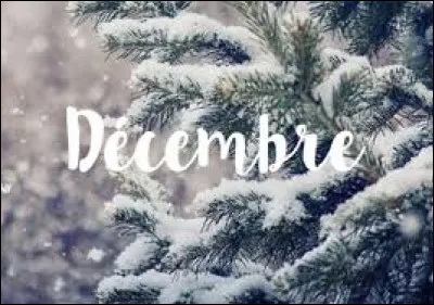 Comment se dit d&eacute;cembre en espagnol ?