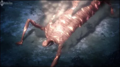 Que cherche à faire Rodes Reiss ?