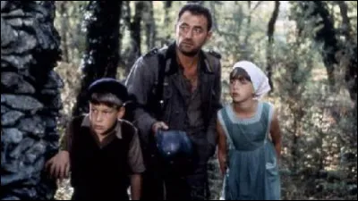 En 1944, alors que la guerre touche à sa fin dans un village de Haute-Provence, deux frères, Antoine et Julien, et leur copain Gaby, guettent l'arrivée des Américains ; ils rencontrent Franz, un soldat allemand (Richard Bohringer) : c'est ...